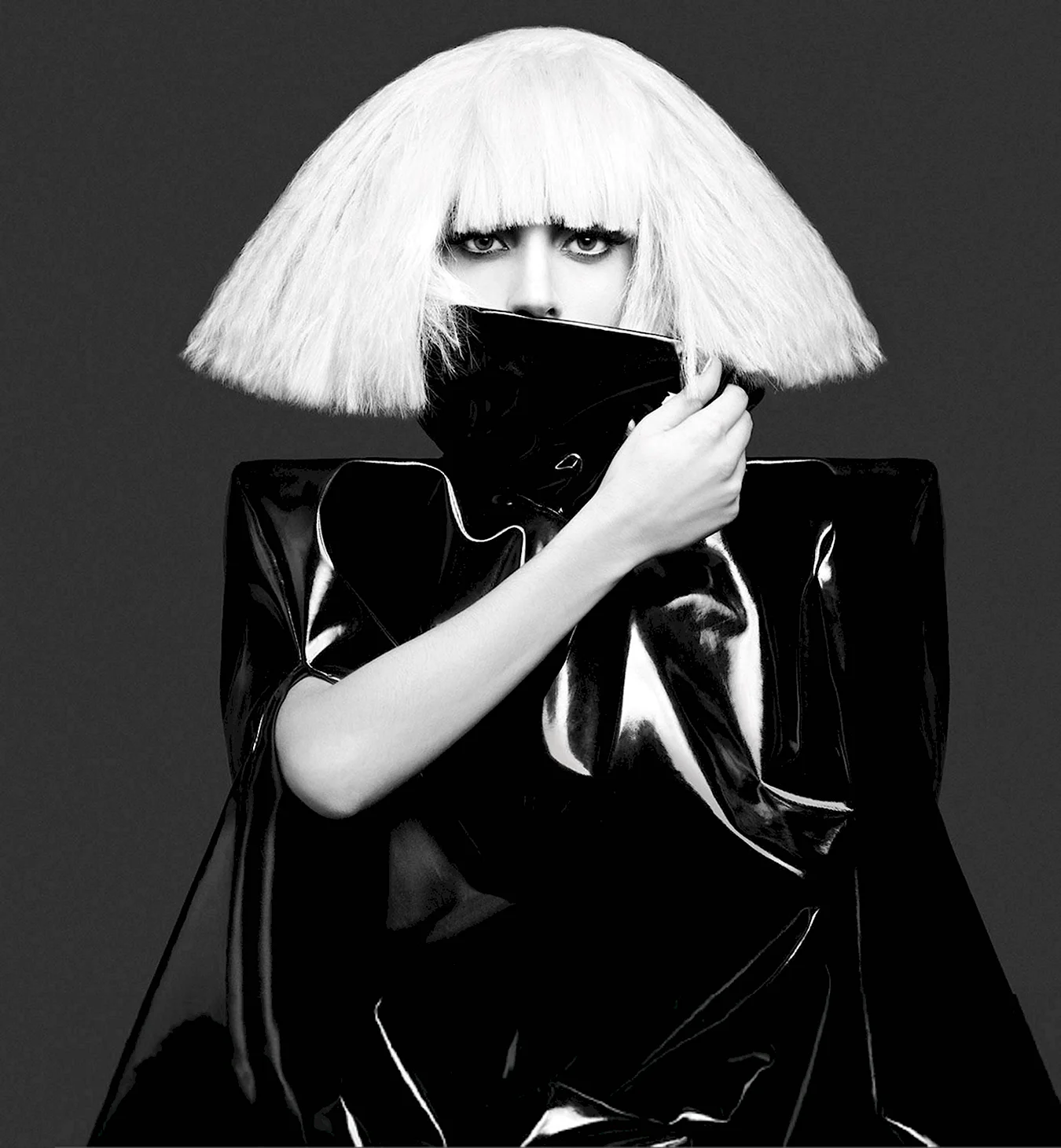 Lady Gaga the Fame Monster