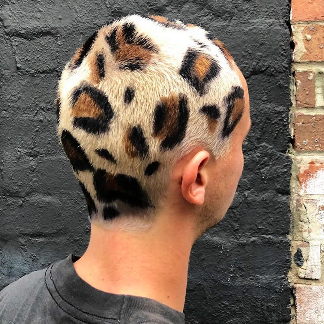 Леопардовые волосы мужские