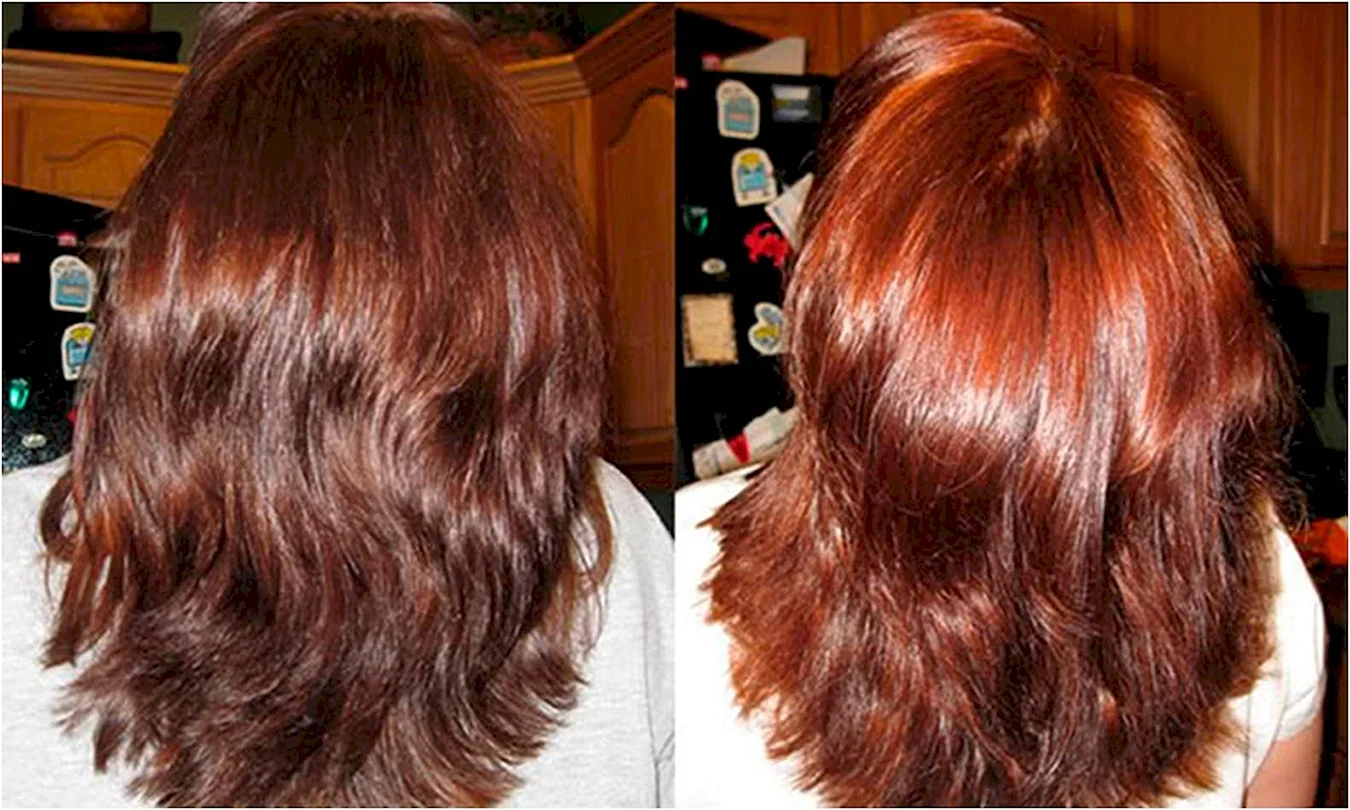 Окрашивание волос хной до и после