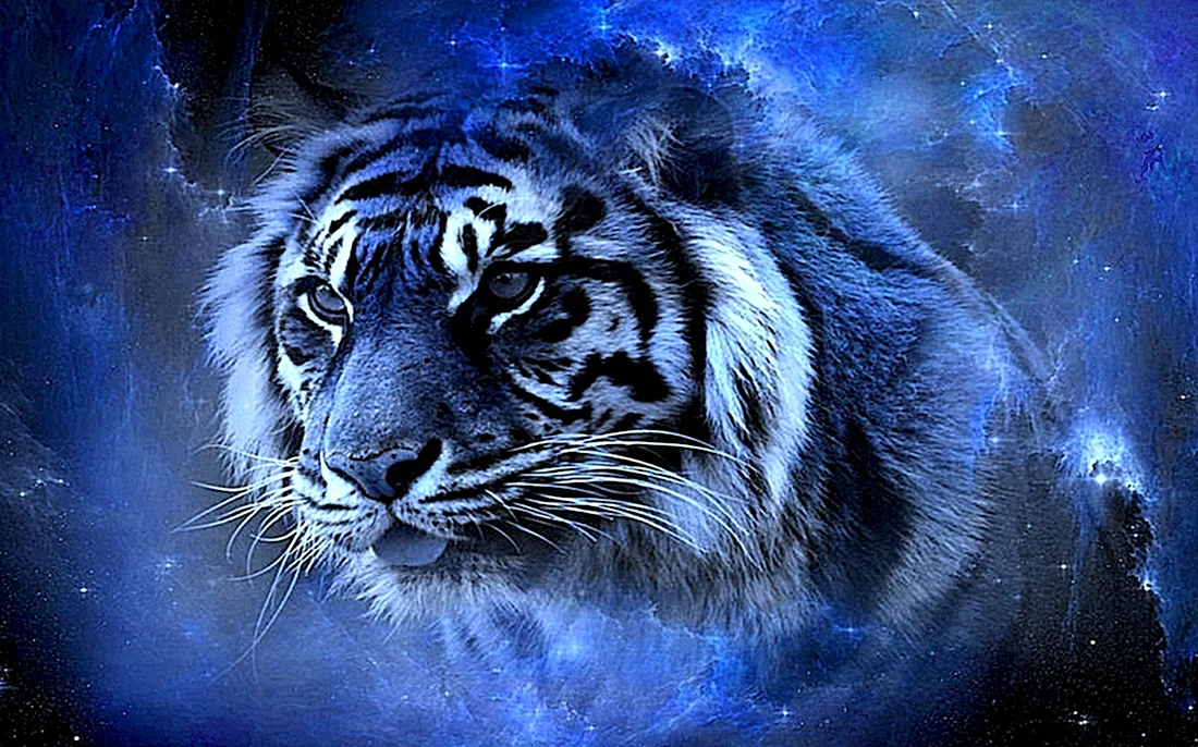 2022 Год черного водяного тигра