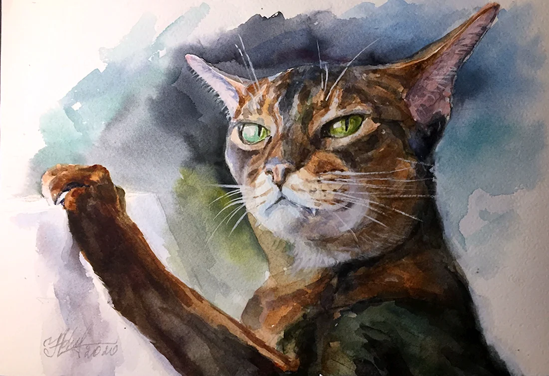 Абиссинская кошка живопись