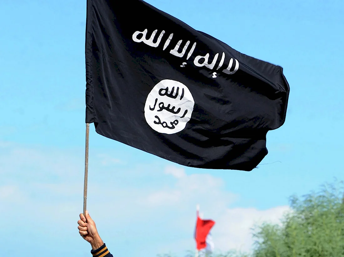Аль Каида флаг