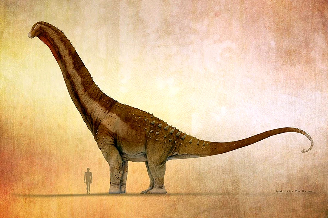 Alamosaurus sanjuanensis