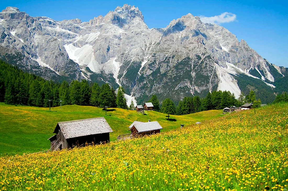Альпийские Луга Швейцария