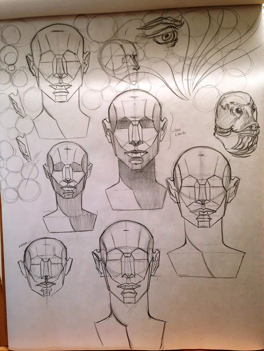 Анатомия головы для рисования