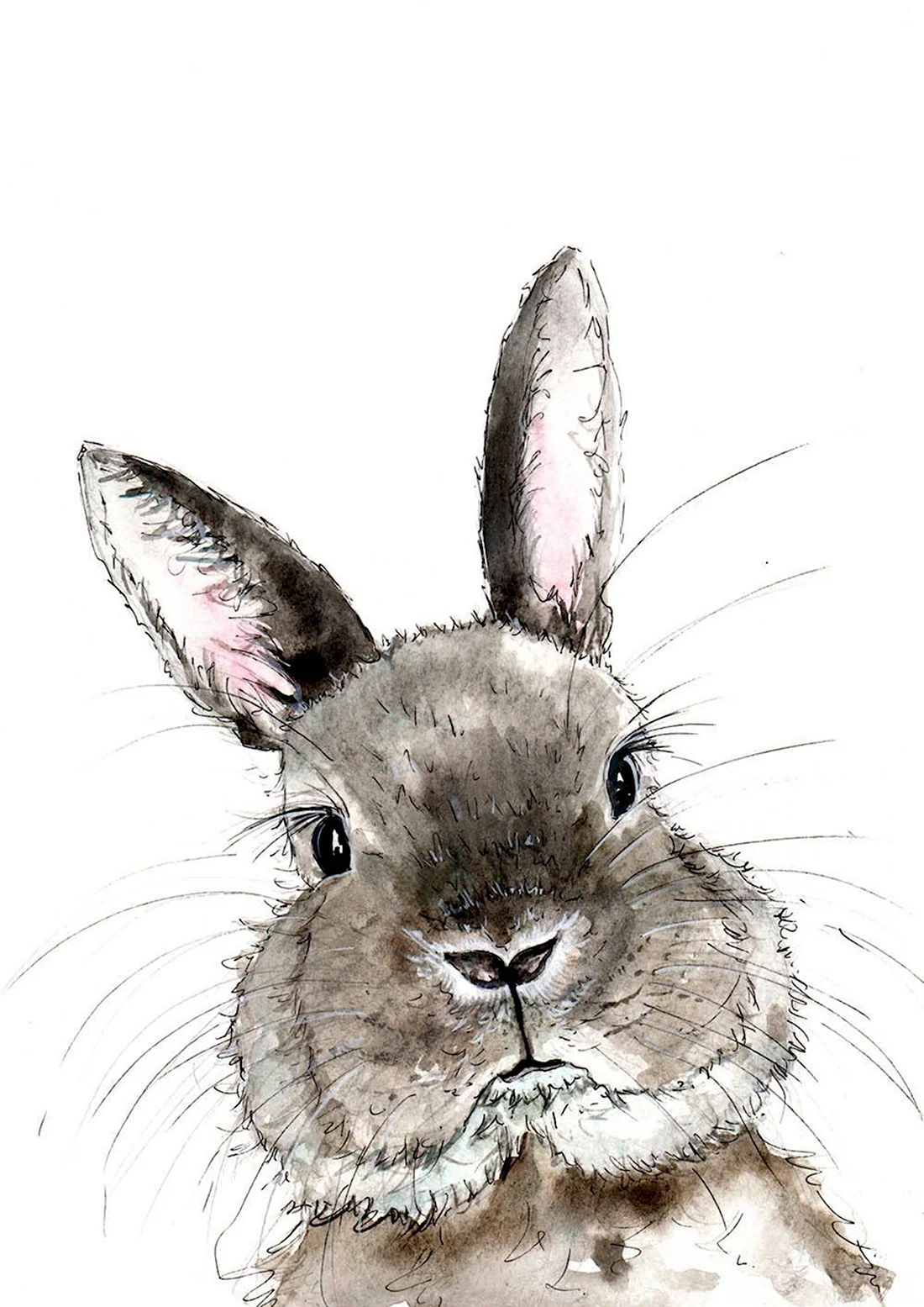 Ангорский кролик арт