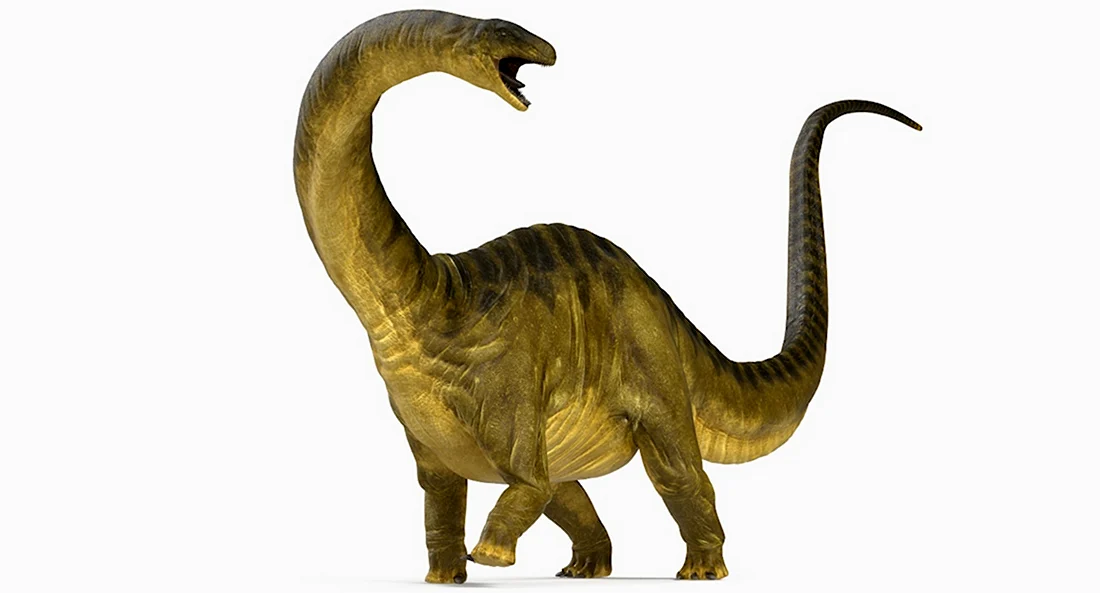 Апатозавр Диплодок Бронтозавр