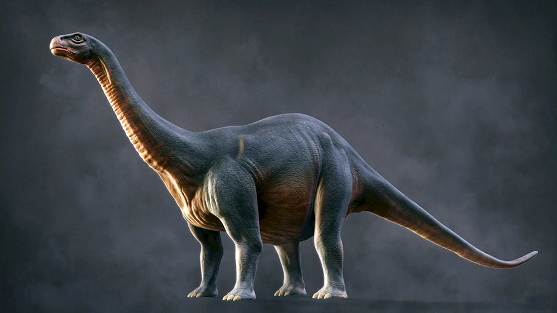 Апатозавр и Диплодок