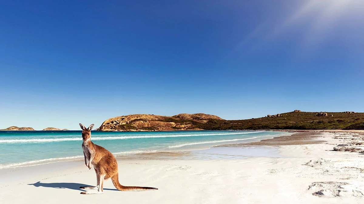 Австралия природа остров кенгуру