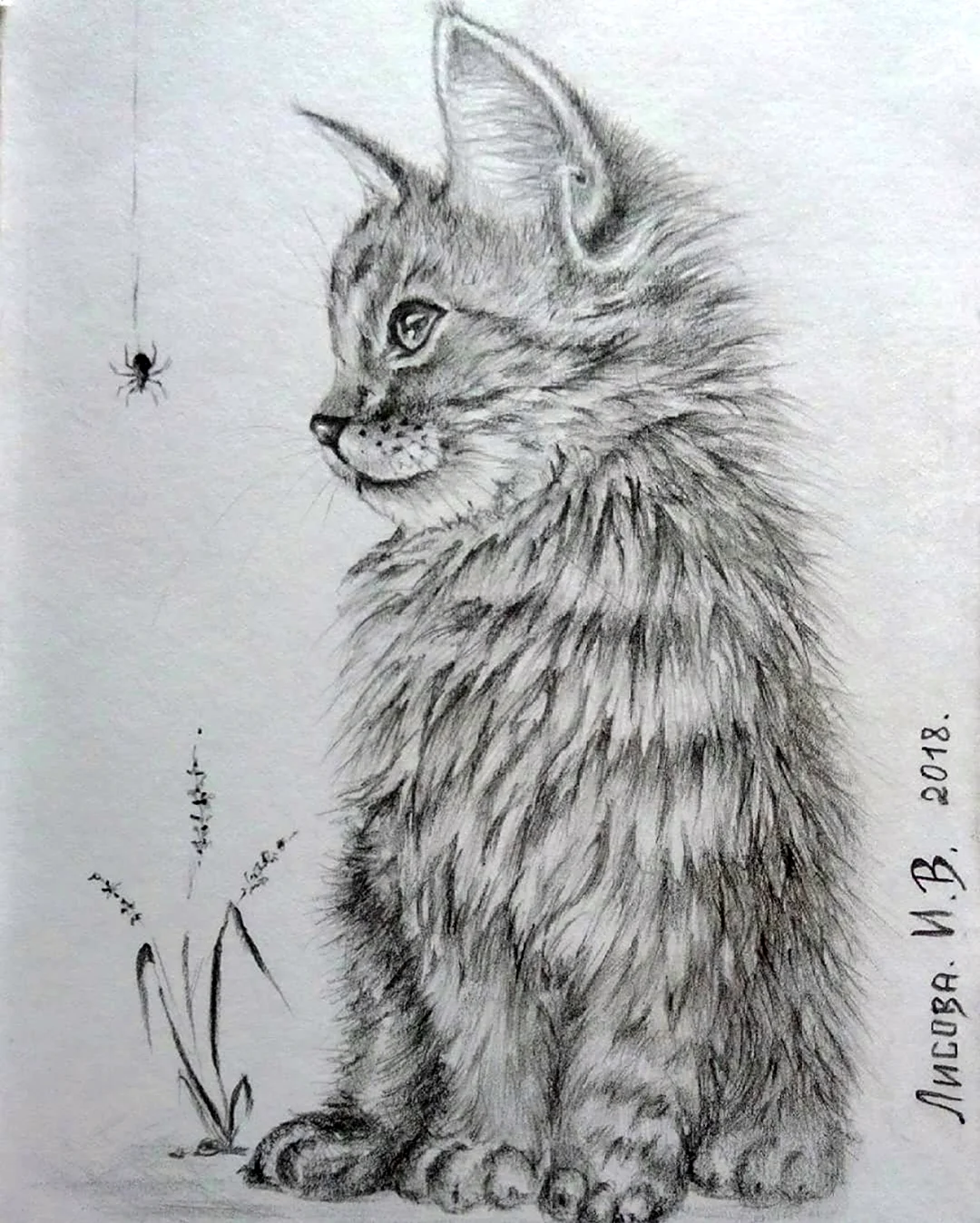 Азбука рисования котенок
