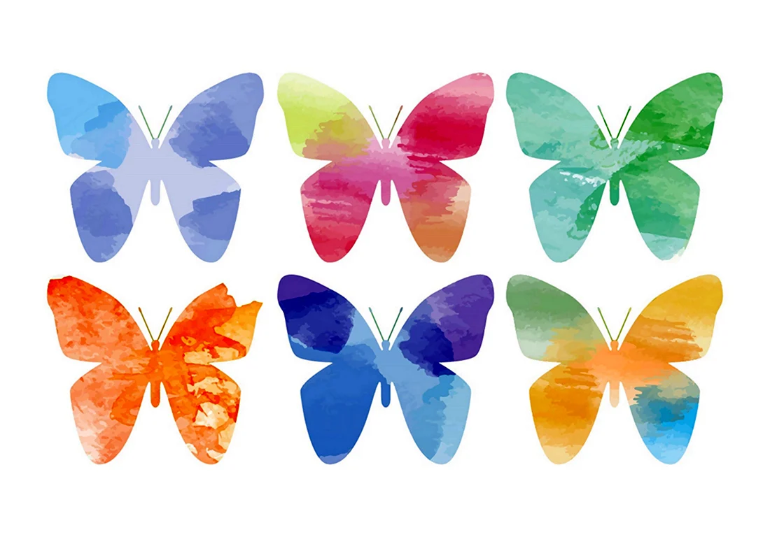 Бабочки пастельных тонов