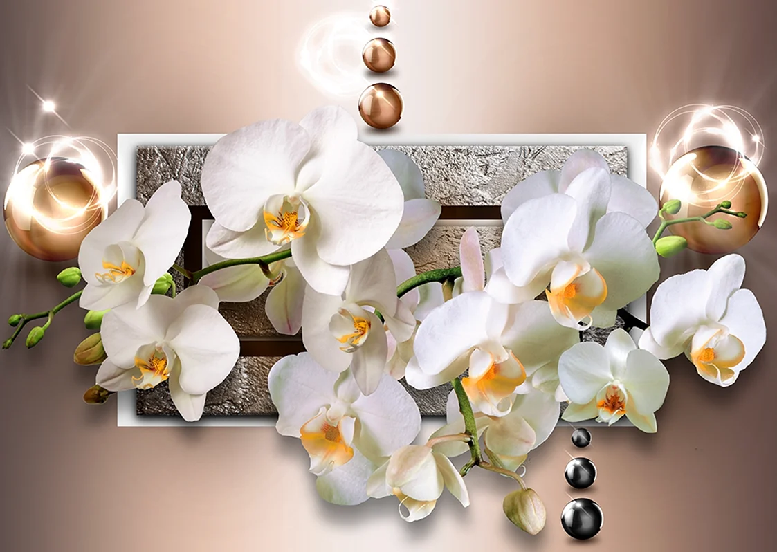 Белая Орхидея картина