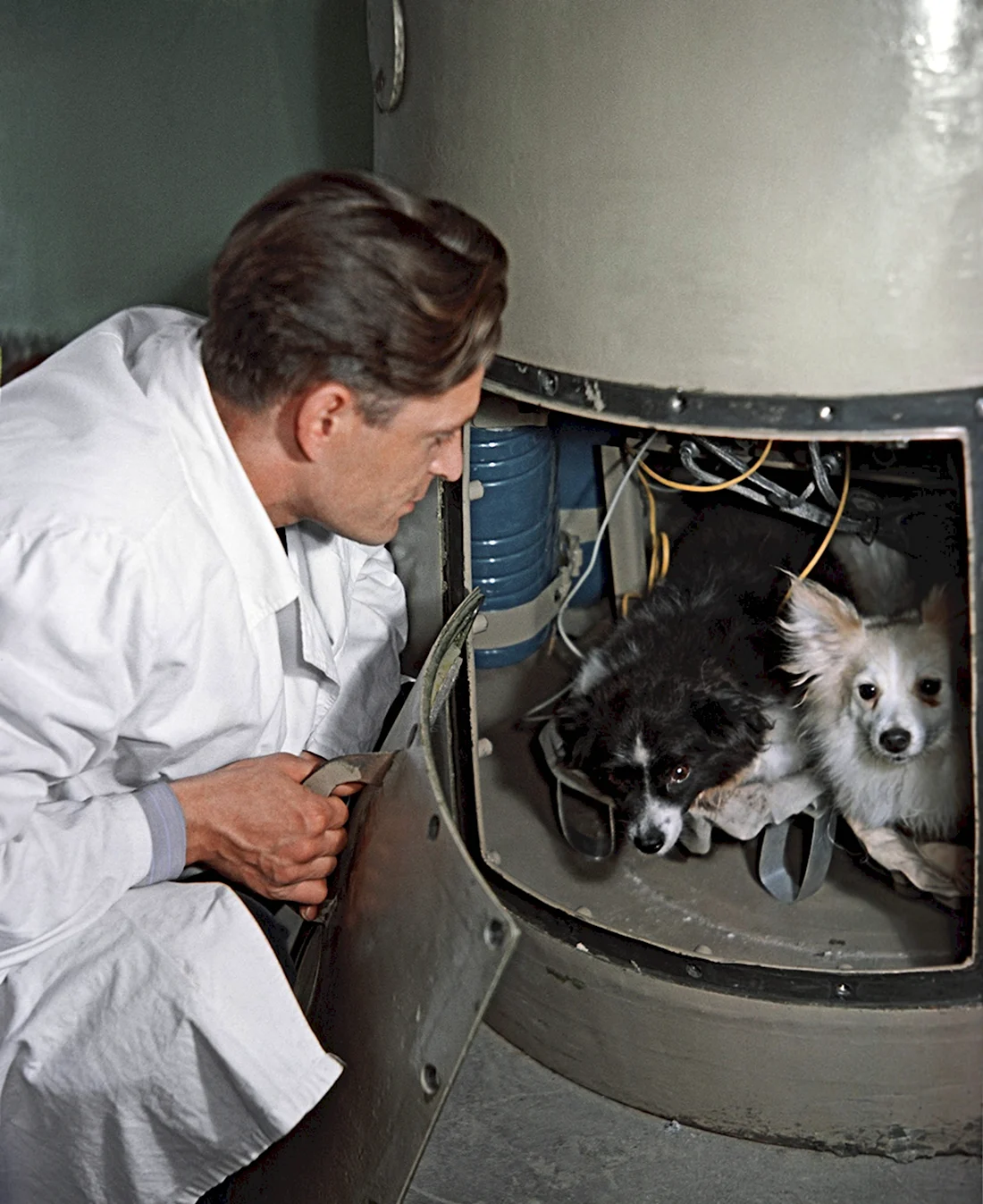 Белка и стрелка полёт в космос 1958