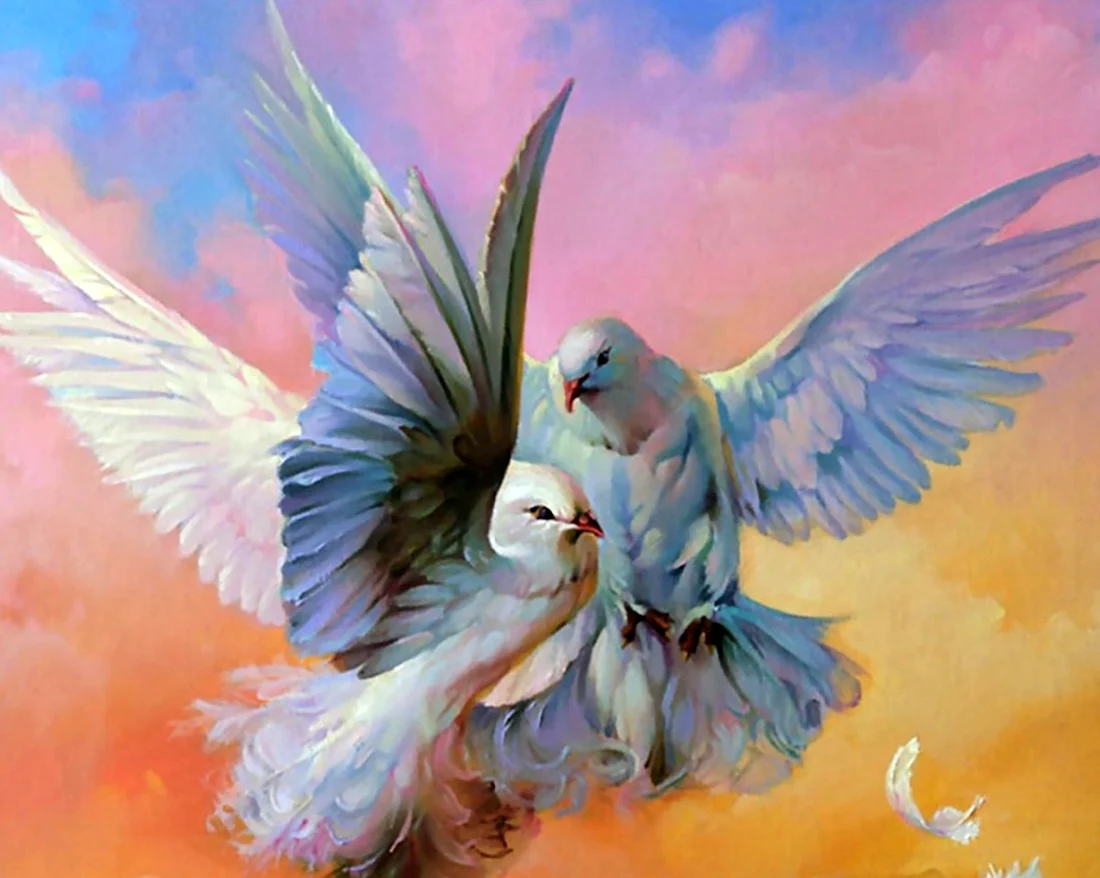 Белоснежка картина по номерам полет белых голубей 30х40 см