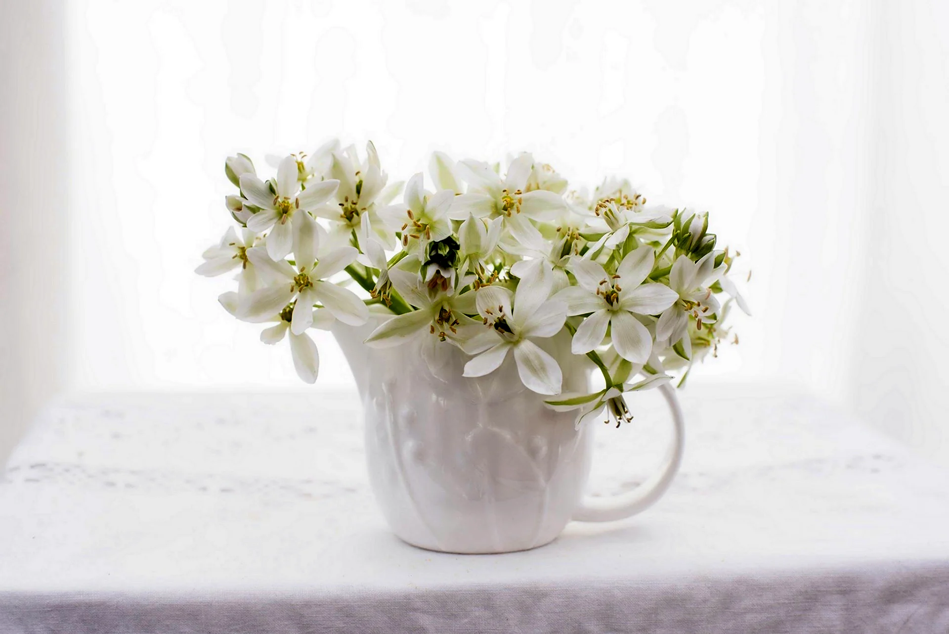 Белые цветы