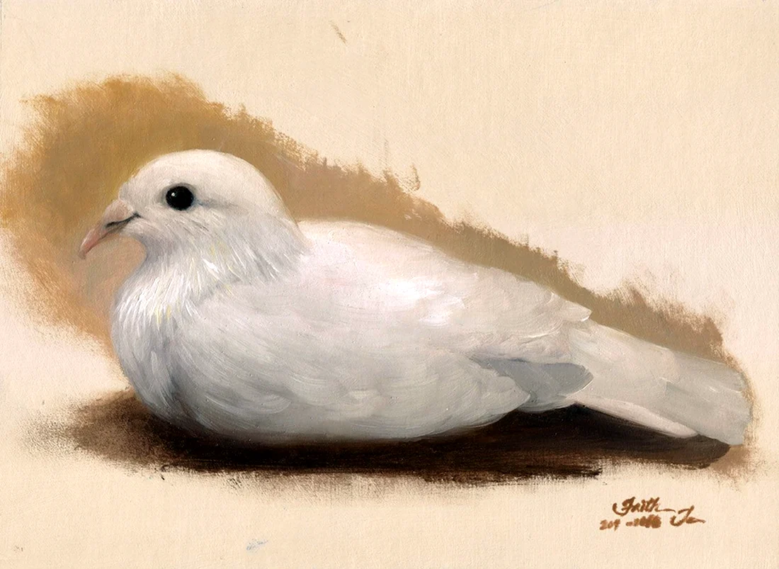 Белый голубь живопись