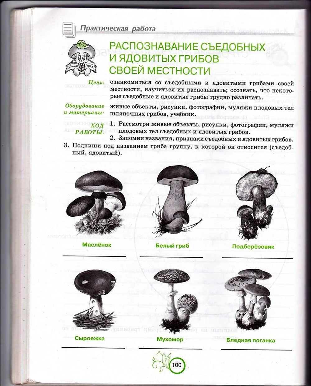 Биология 7 класс распознавание съедобных и ядовитых грибов