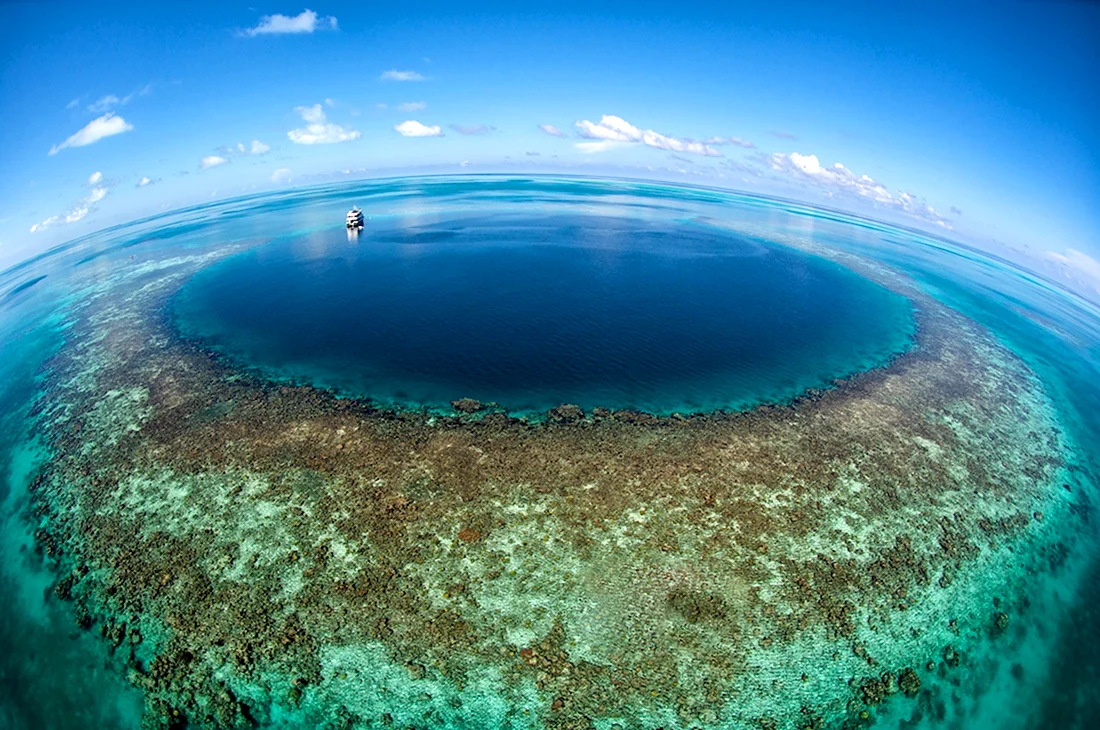 Большая голубая дыра Лайтхаус-риф