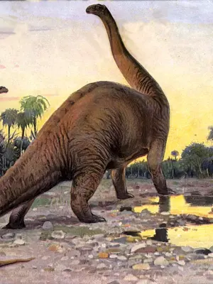 Бронтозавр динозавры Юрского периода