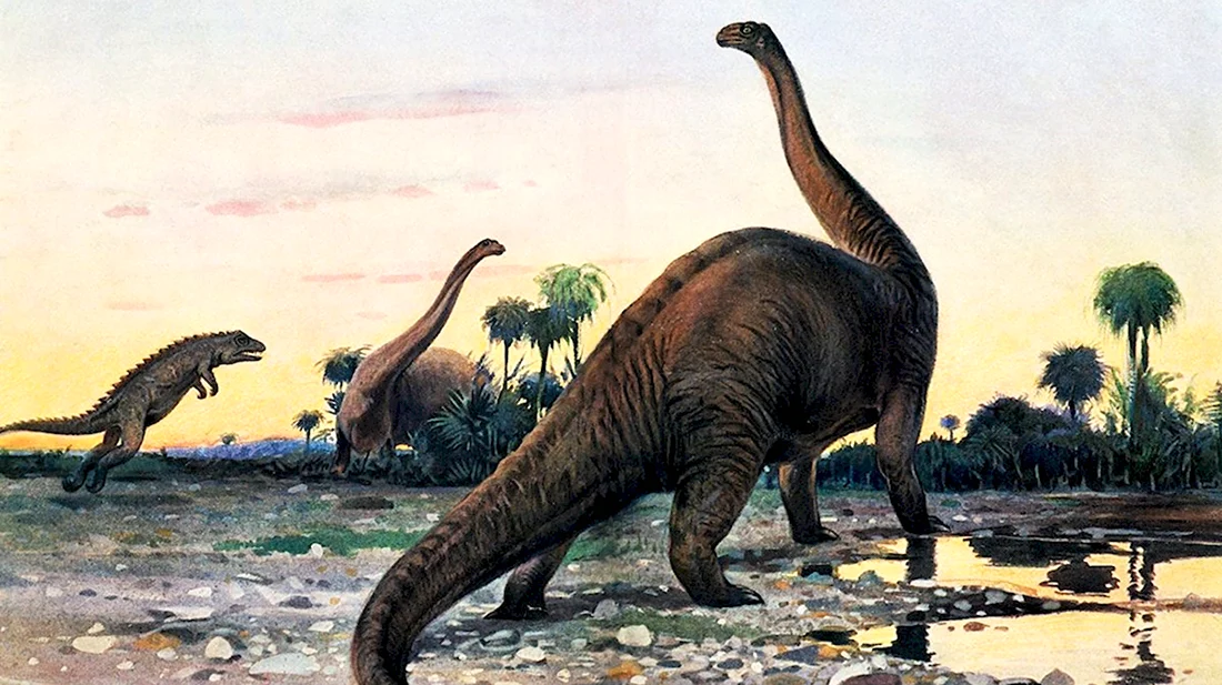 Бронтозавр факты