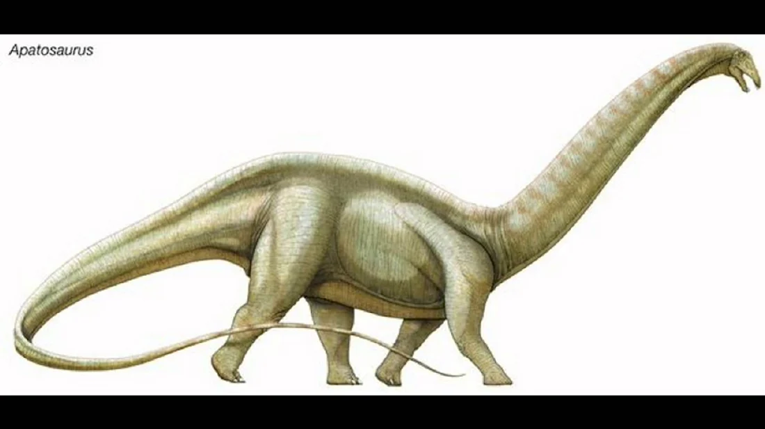 Бронтозавр HM