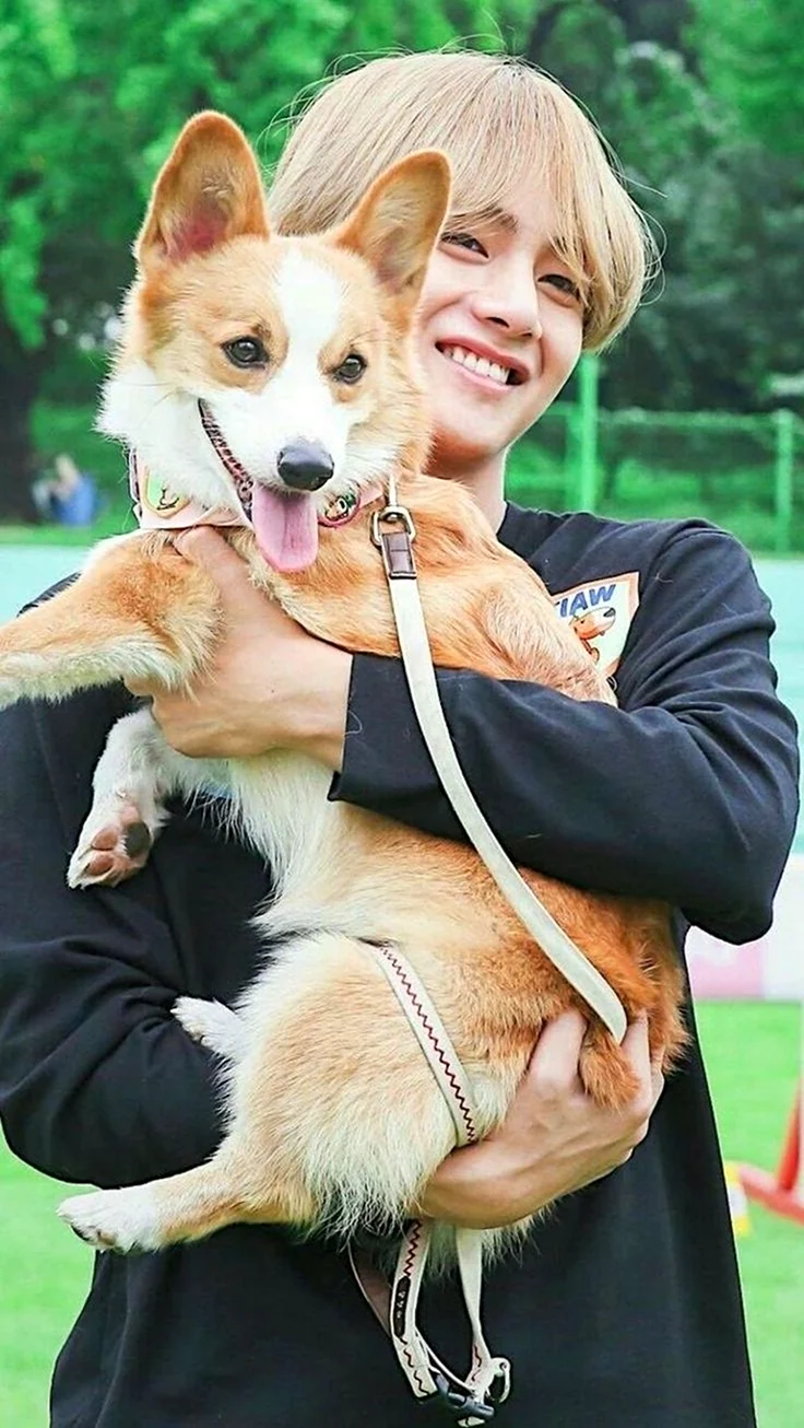 БТС Ким Тэхен с собакой