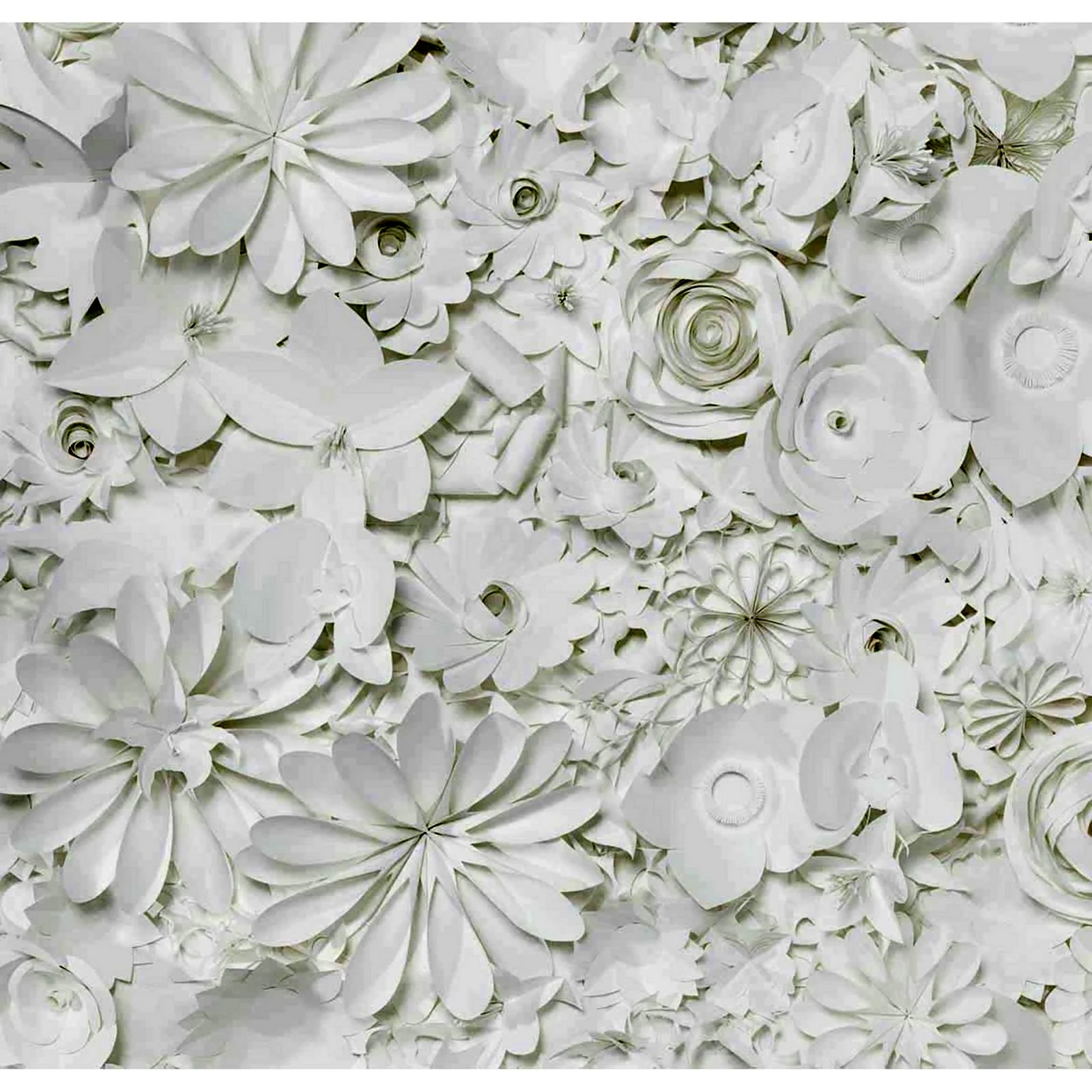 Бумажные цветы белые