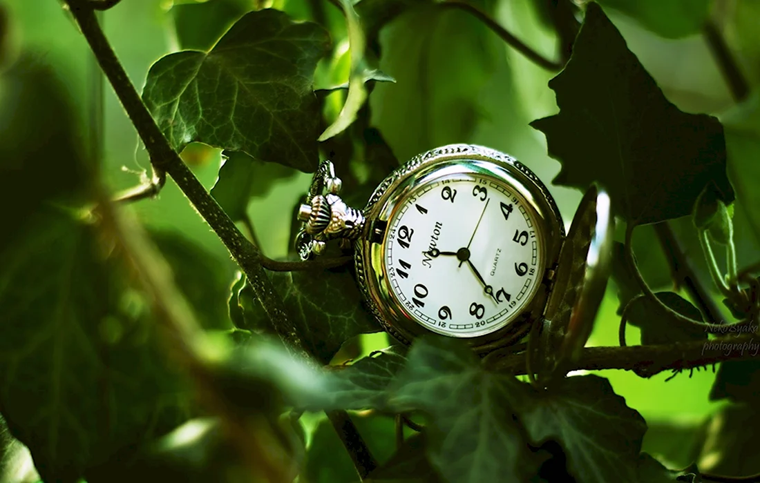 Часы на природе