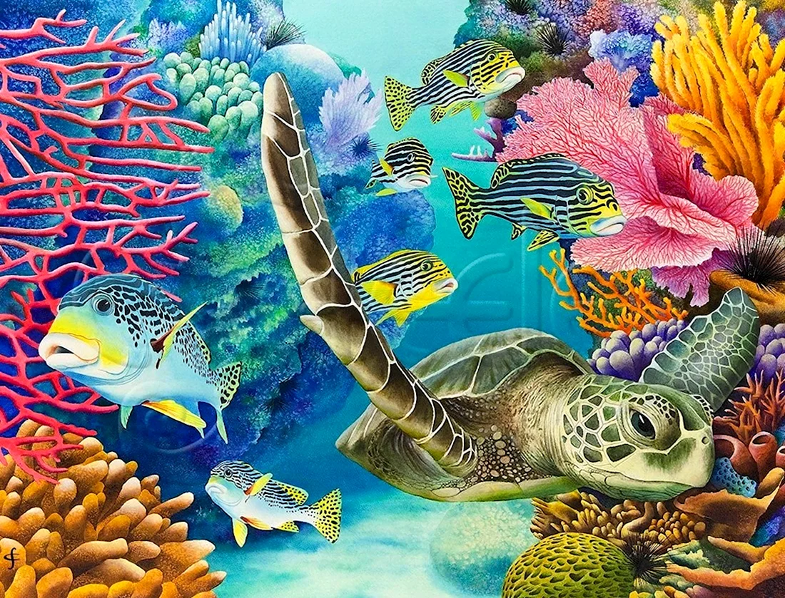 Черепаха коралловый риф