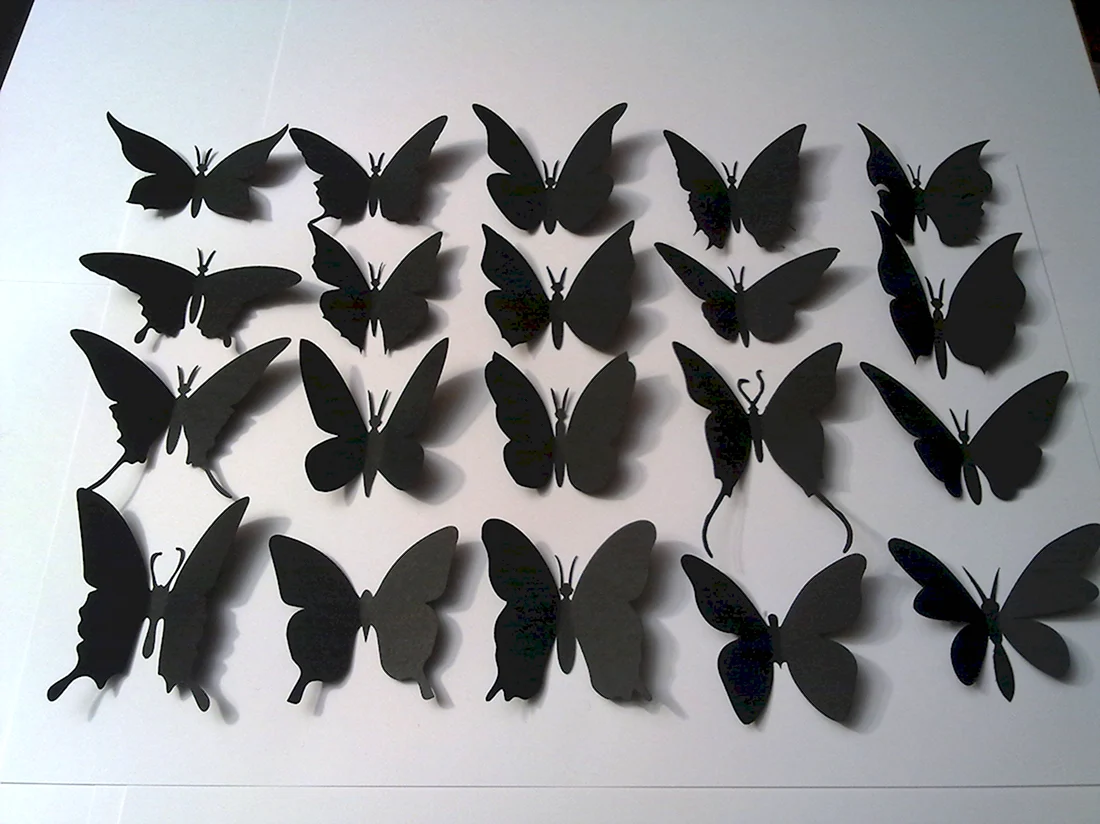 Черные бабочки на стену