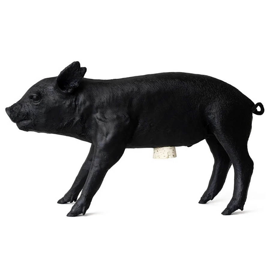 Декоративные свинки черные