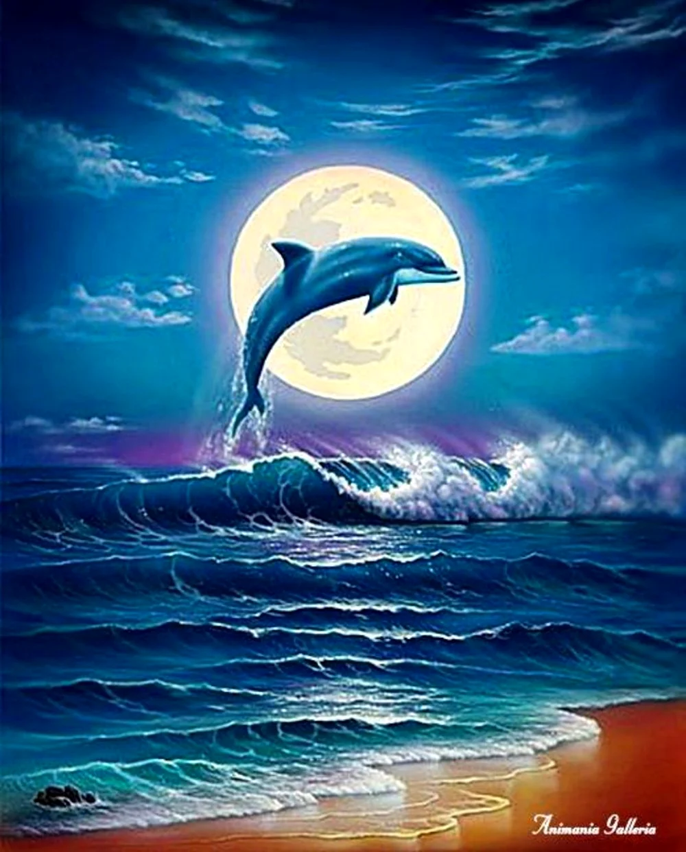 Дельфин картина
