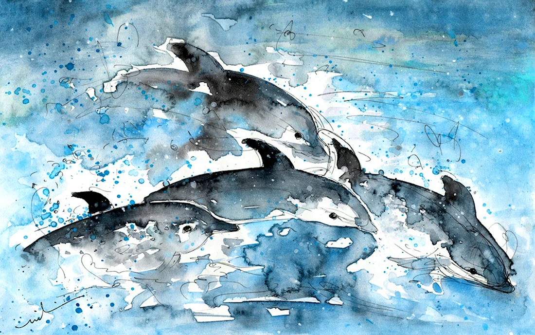 Дельфины акварелью