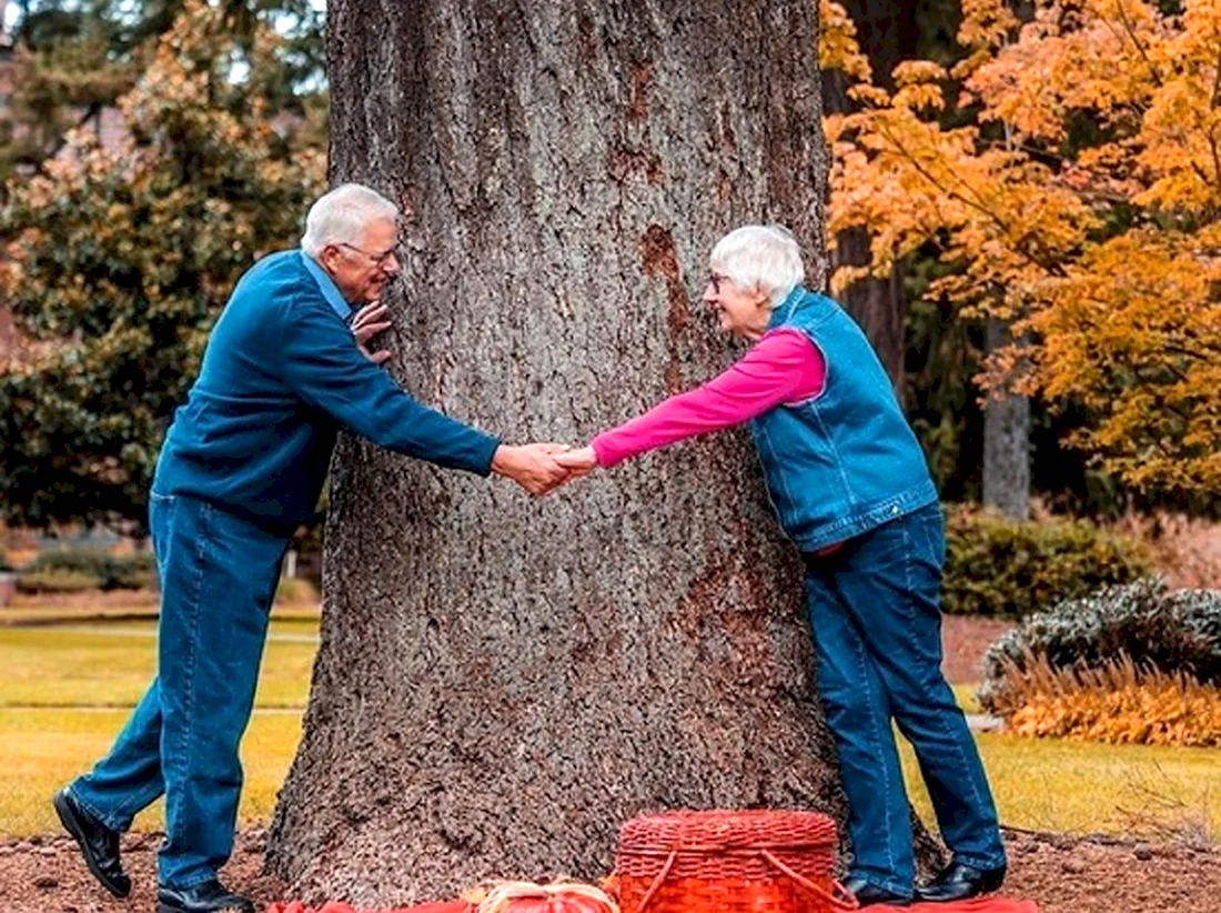 Деревья для пенсионеров