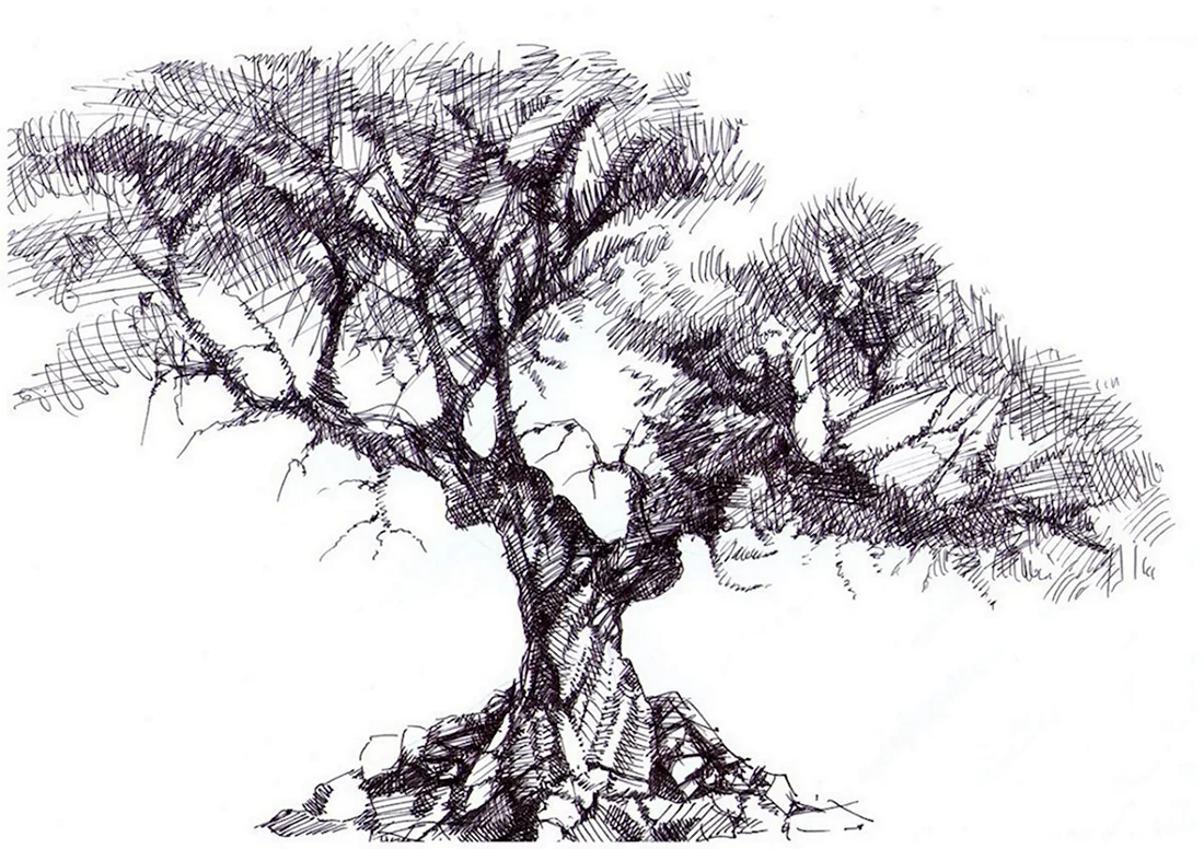 Дерево Графика