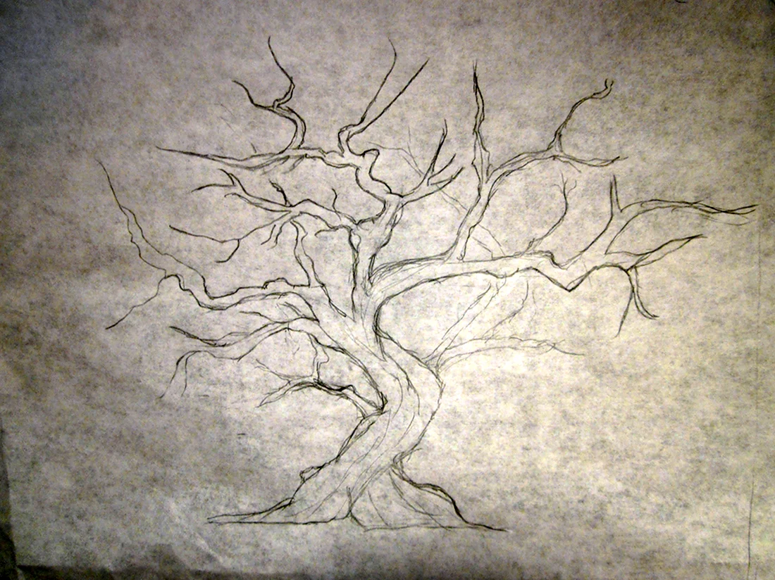 Дерево Сакура карандашом