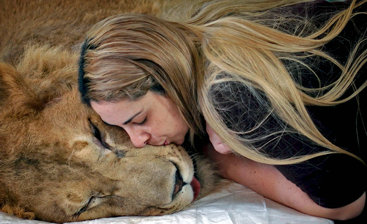 Девочка обнимает Льва