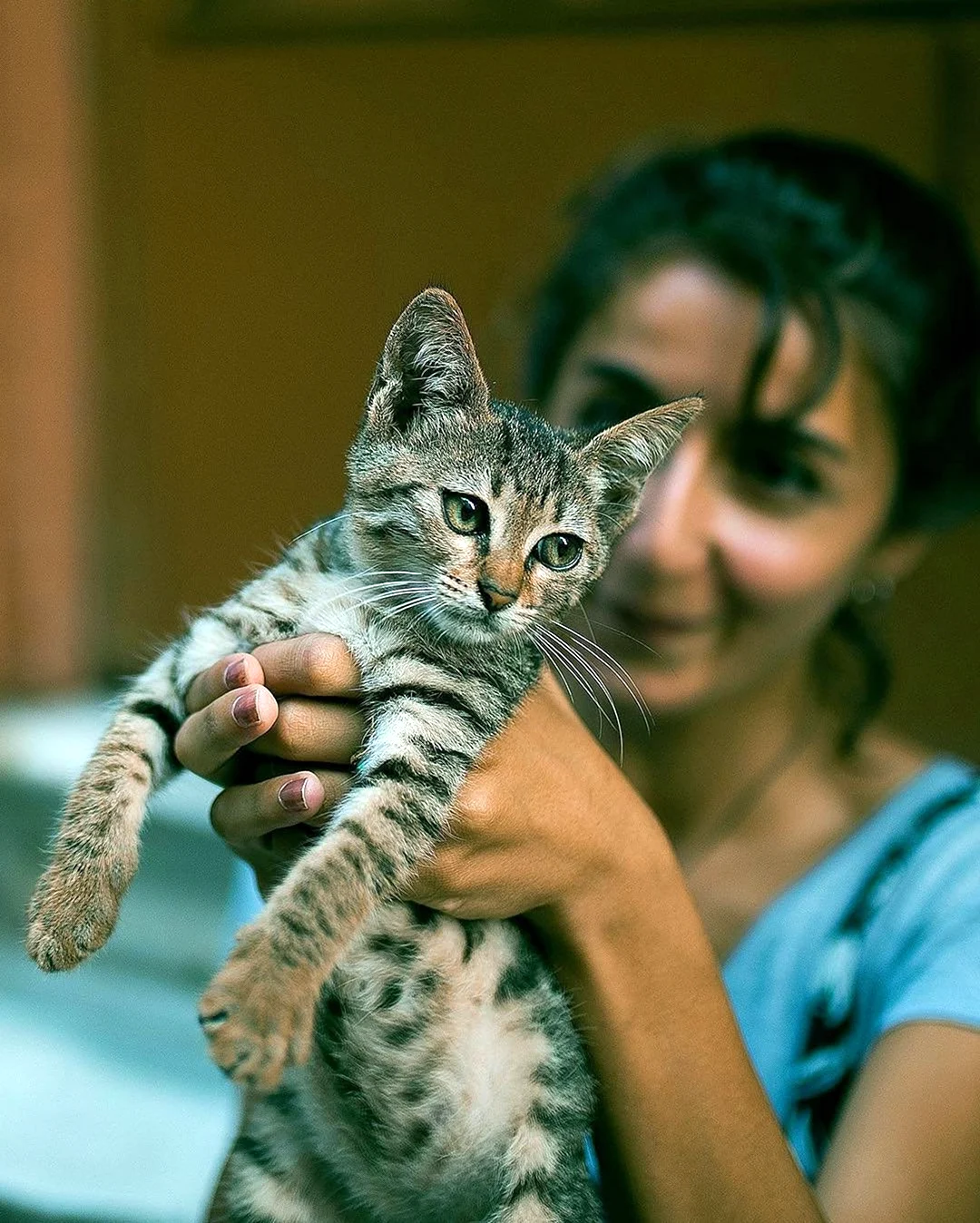Девушка держит кошку на руках