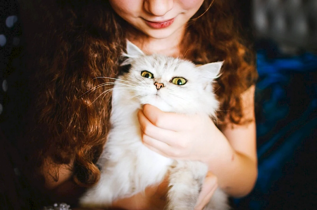 Девушка и белая кошка