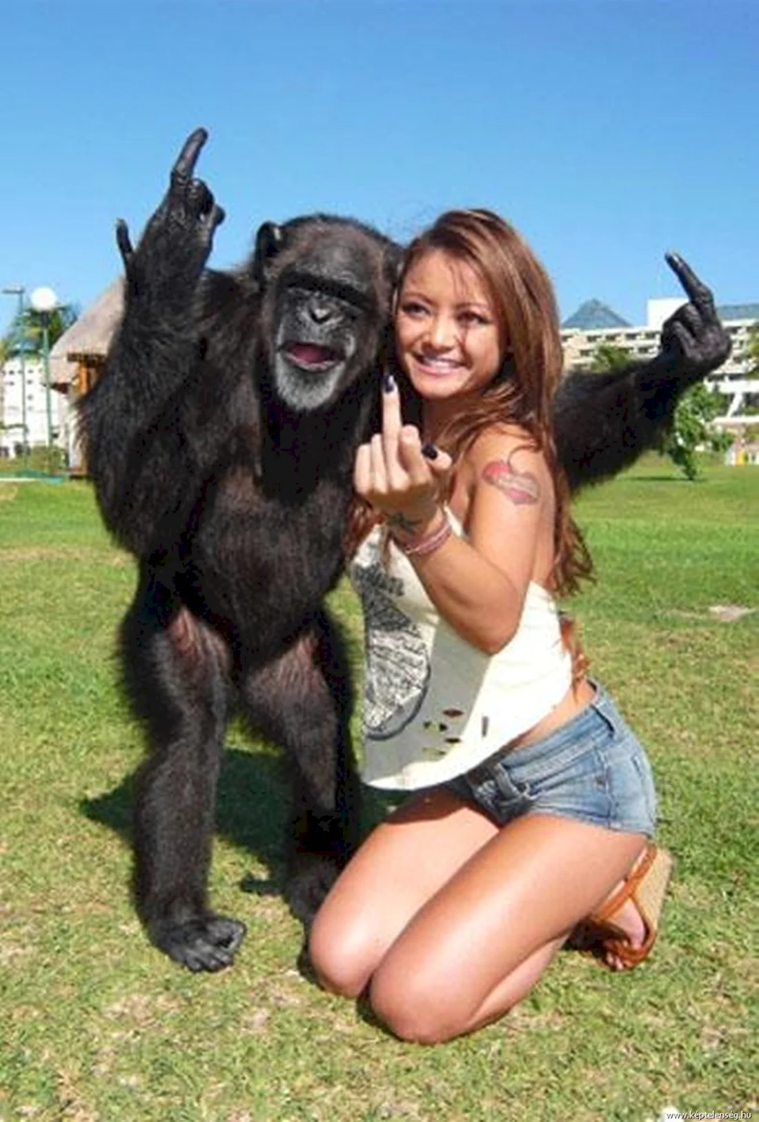 Девушка и обезьяна