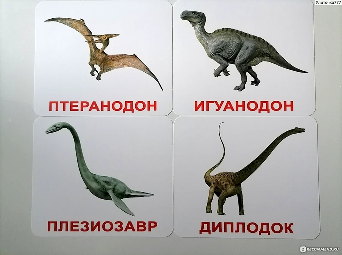 Динозавры названия с картинками для детей карточки