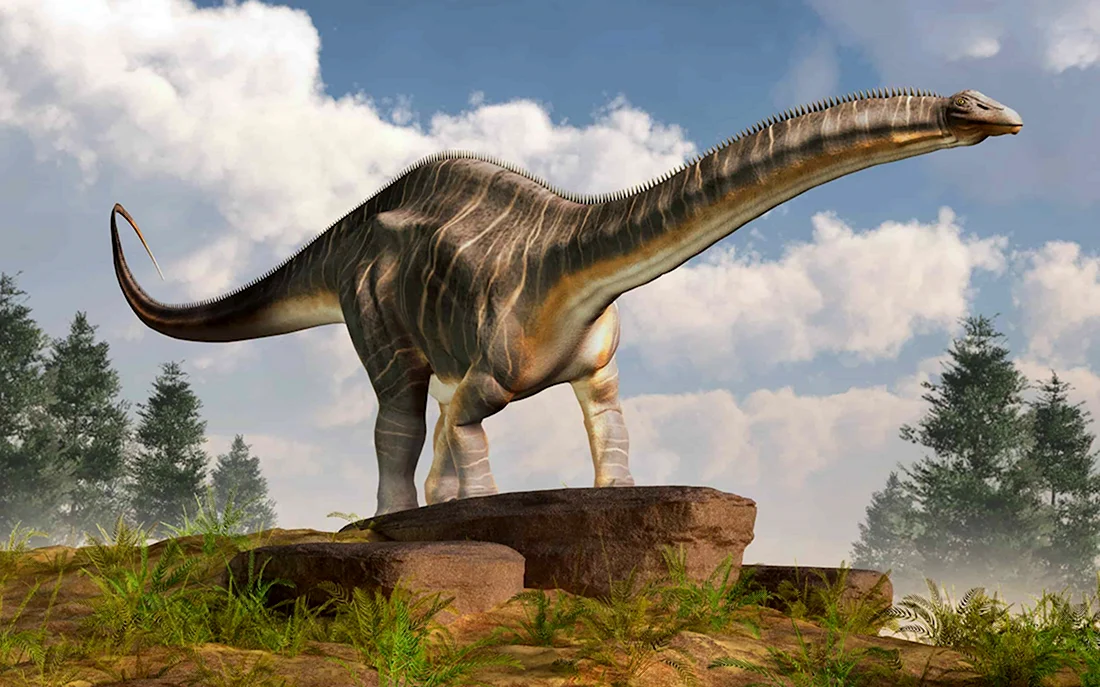 Диплодок Брахиозавр Апатозавр