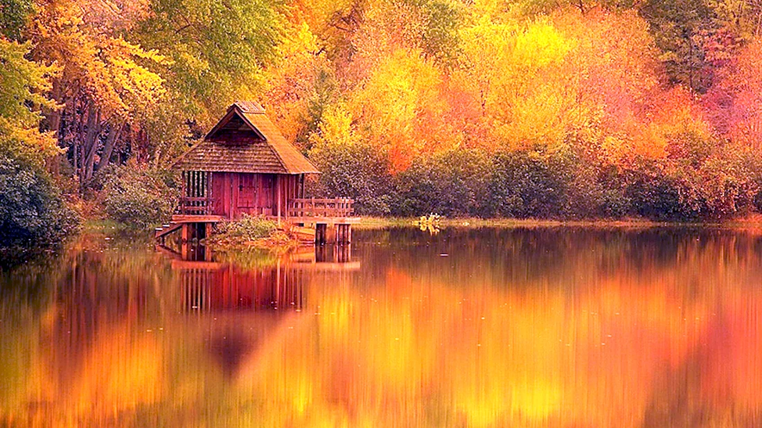 Дом у озера пейзаж
