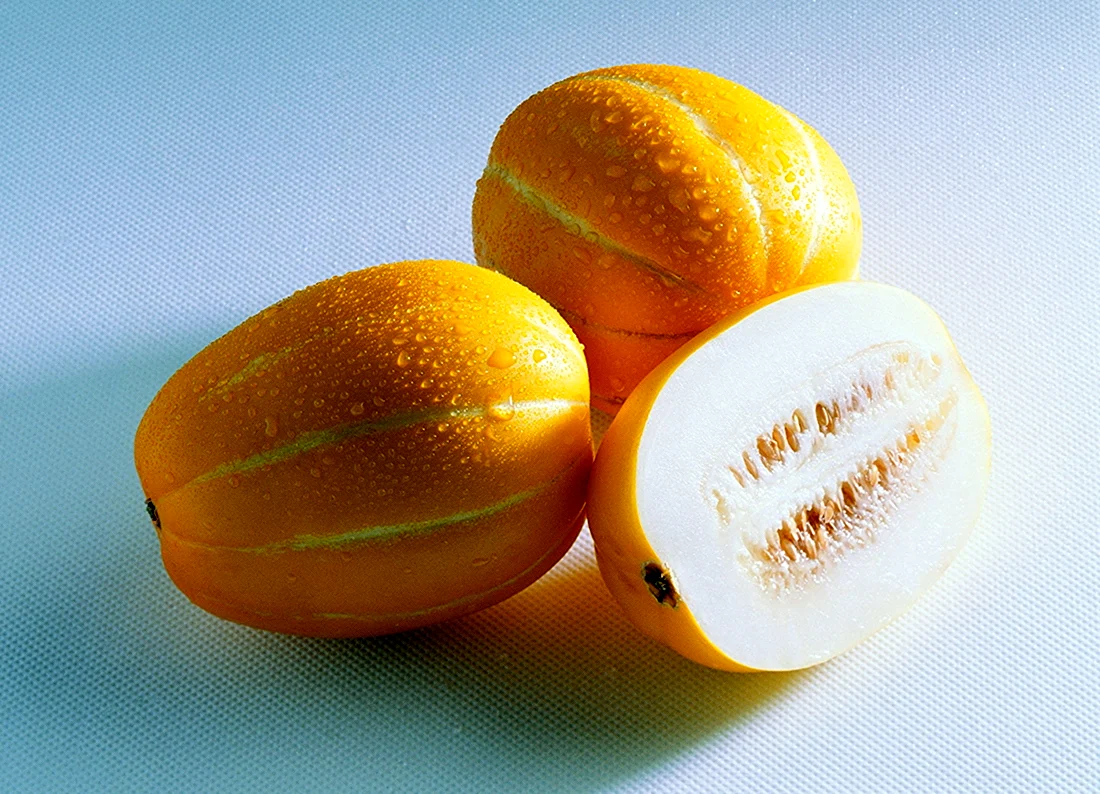 Дыня сорт манго