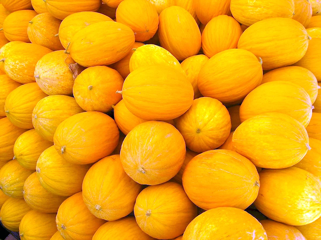 Дынно-желтый Melon Yellow