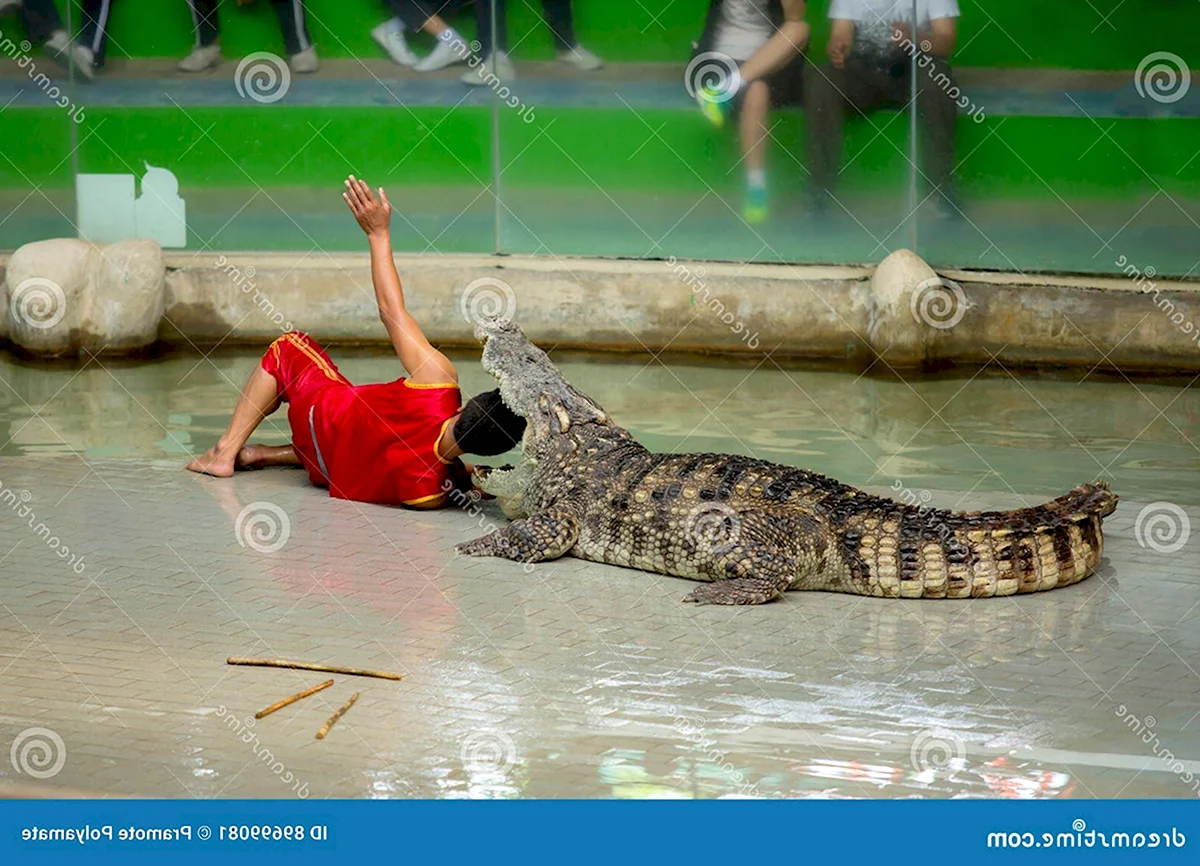 Екатеринбургский зоопарк крокодил