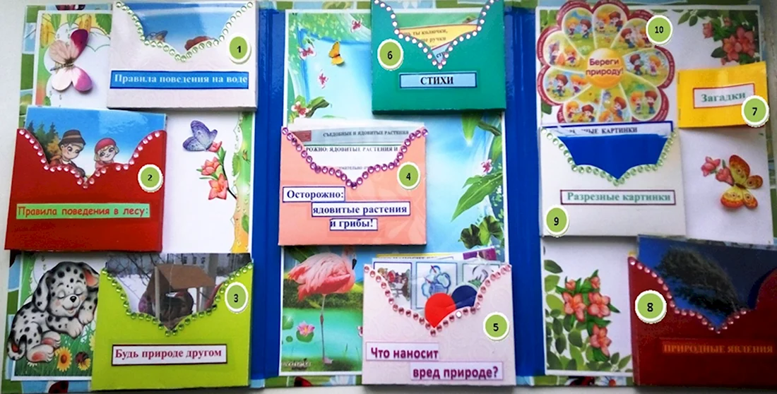 Экологический лэпбук для дошкольников