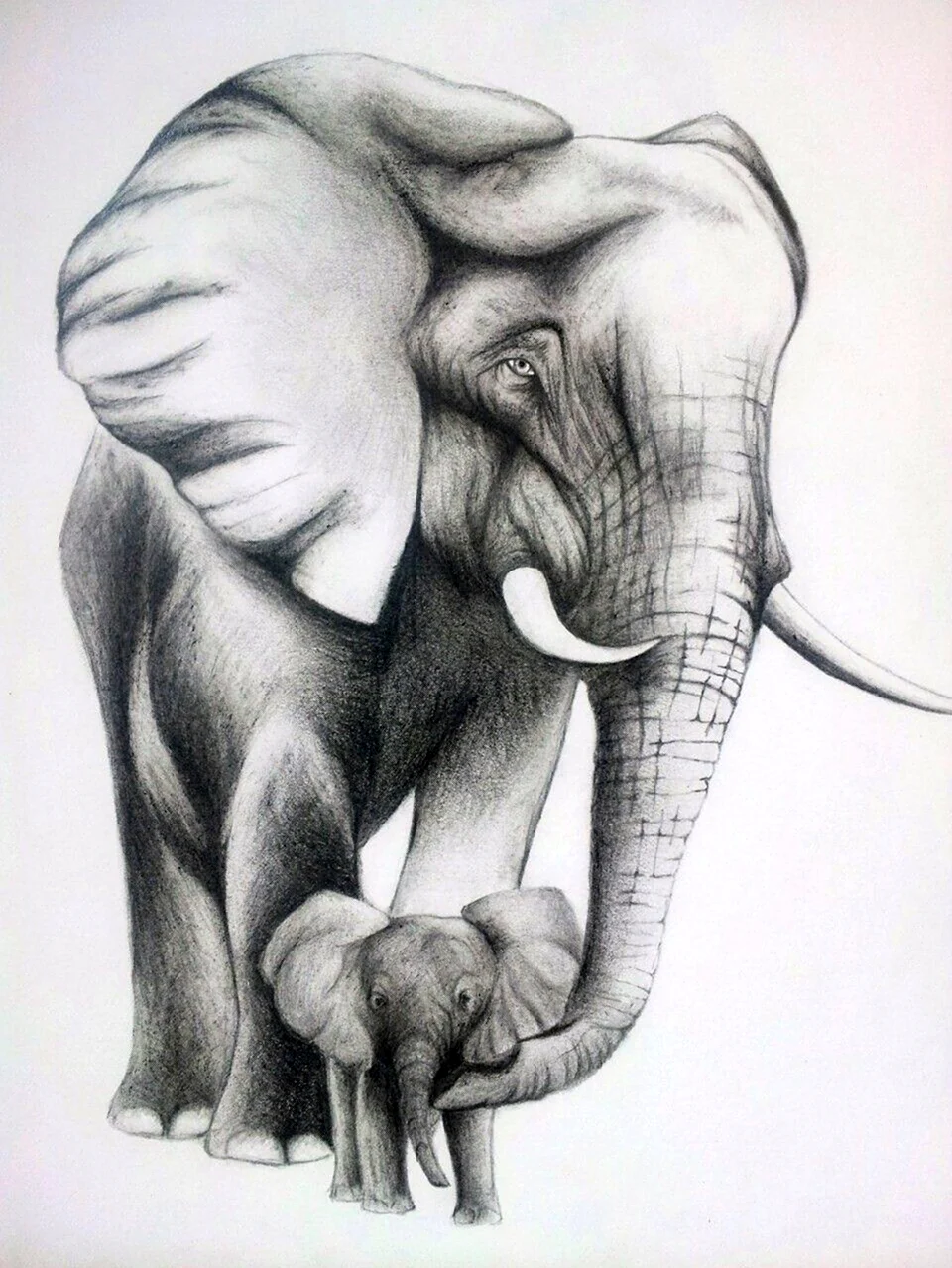 Эскиз слона со слоненком