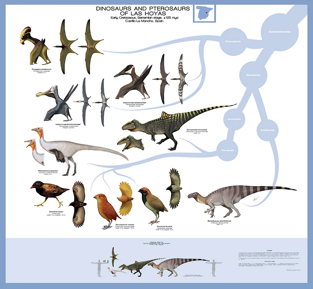Эволюция динозавров схема