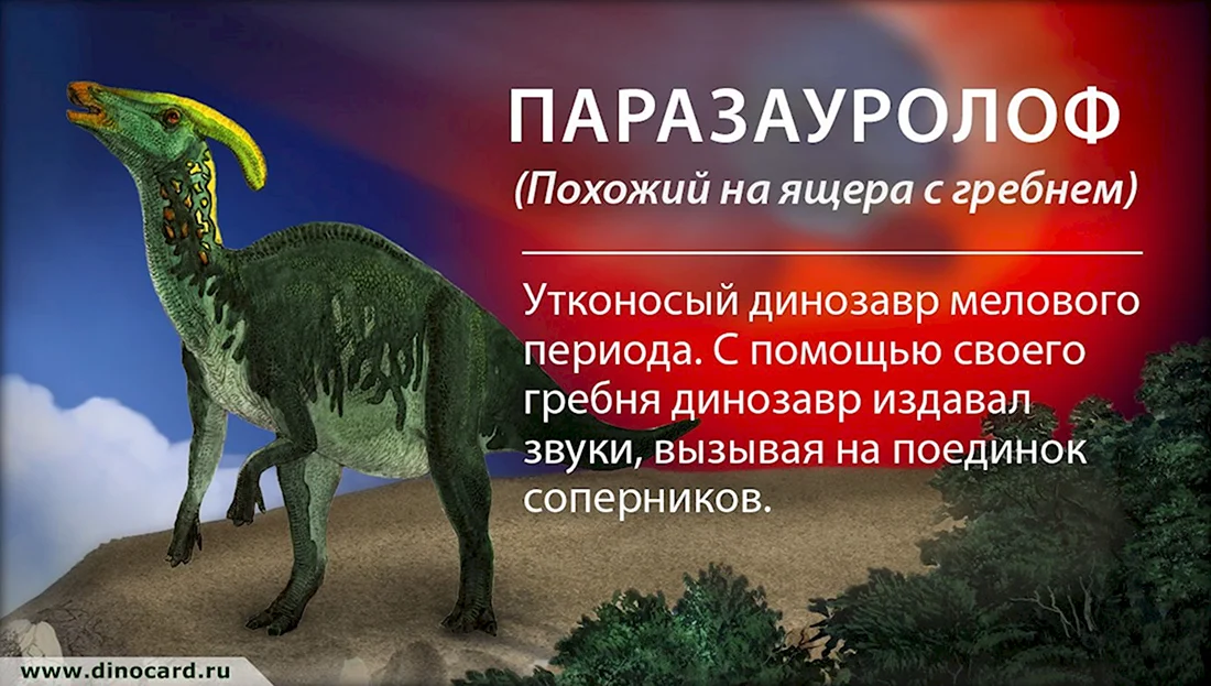 Факты о динозаврах